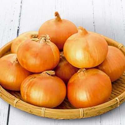 【12ヶ月定期便】 特別栽培の玉ねぎ 『戎珠(えびすたま)』 5kg
