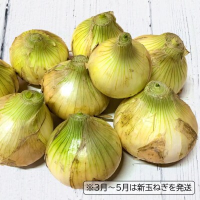 【12ヶ月定期便】 特別栽培の玉ねぎ 『戎珠(えびすたま)』 5kg