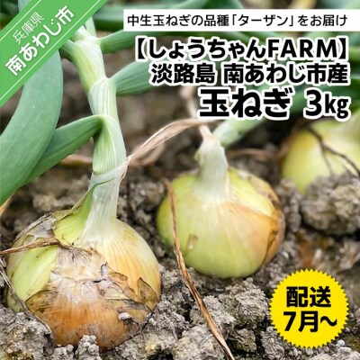 【しょうちゃんFARM】淡路島 南あわじ市産玉ねぎ3kg ◆配送7月~