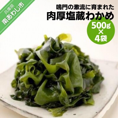【山田海産物】肉厚塩蔵わかめ500g×4袋入り