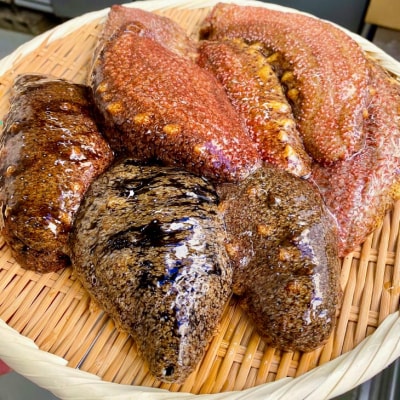 【花光】【あわじ島冬の珍味!身の柔らかい赤ナマコを活きたまま発送】淡路島産 赤なまこ(活)約1kg
