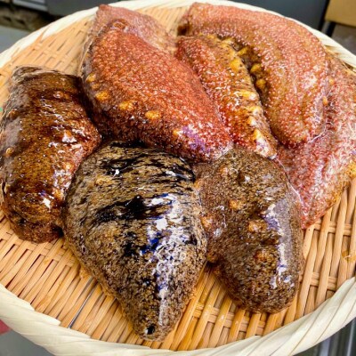 【花光】【あわじ島冬の珍味!身の柔らかい赤ナマコを活きたまま発送】淡路島産 赤なまこ(活)約1.5k