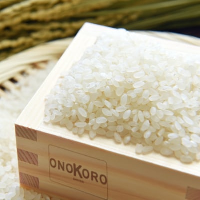 【ONOKORO商店】淡路島産 キヌヒカリ　5kg
