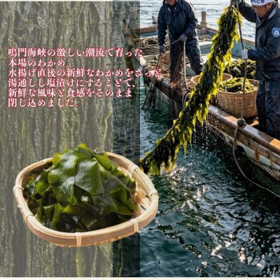 【山田海産物】肉厚塩わかめ220g×5袋