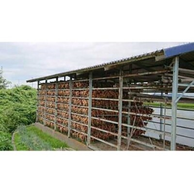 ◆配送4月末～【南あわじ農業女子部】淡路島の農家の嫁から直送「完熟新玉ねぎ 早生 5㎏」