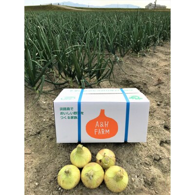 【期間限定】島玉ねぎ(新玉ねぎ)10kg　◆発送3月～