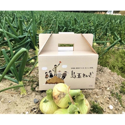 【期間限定】島玉ねぎ(新玉ねぎ)2.5kg+白米(きぬむすめ)10kg　★発送3月～