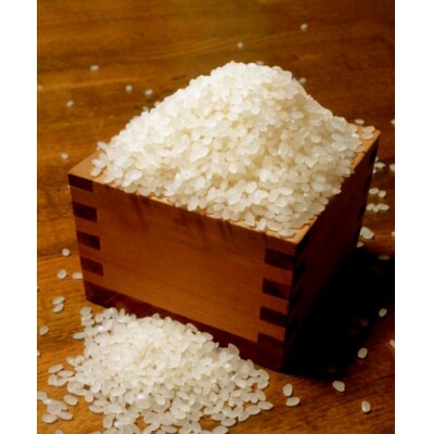 【期間限定】島玉ねぎ(新玉ねぎ)2.5kg+白米(きぬむすめ)10kg