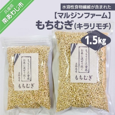 淡路島 南あわじ産 もちむぎ(キラリモチ)1.5kg