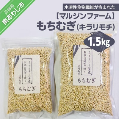 淡路島 南あわじ産　もちむぎ(キラリモチ)1.5kg