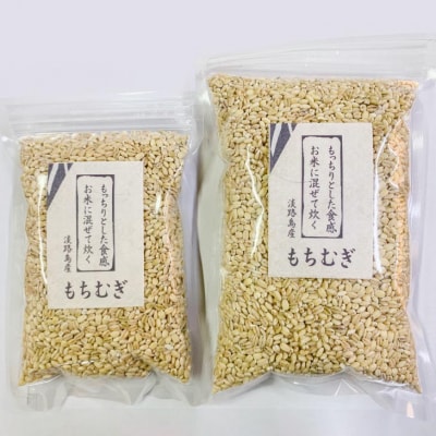淡路島 南あわじ産　もちむぎ(キラリモチ)1.5kg