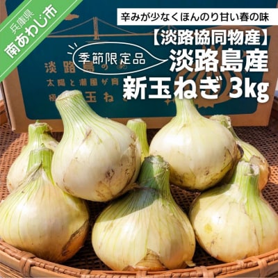 季節限定品 淡路島産新玉ねぎ 3kg ◆配送3月中旬～4月下旬