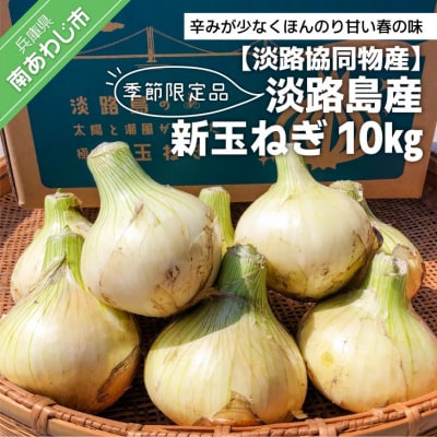 季節限定品 淡路島産新玉ねぎ 10kg ◆配送3月中旬～4月下旬