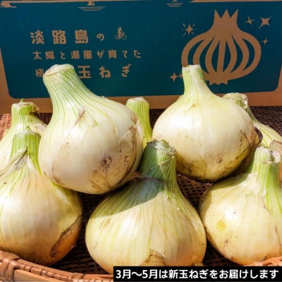 淡路島産玉ねぎ 定期便　3kg×10回(発送3月～12月)