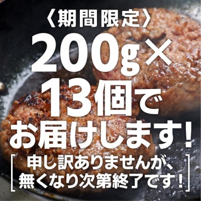 【期間限定】淡路島玉ねぎハンバーグ200g×13個(冷凍)
