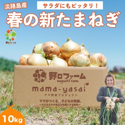 子どもたちが丸ごと食べれる♪春の新たまねぎ10kg　◆配送3月～