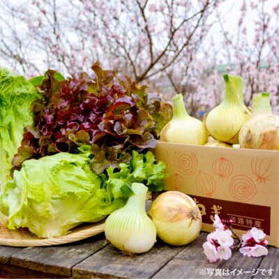 淡路島新玉ねぎと春野菜のトラベルBOX