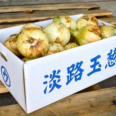 【淡路島の青果屋】淡路島産新たまねぎ 10kg