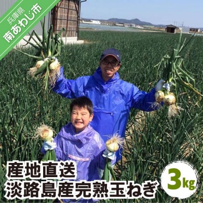 淡路島産玉ねぎ 3kg　◆配送令和8年5月中旬～