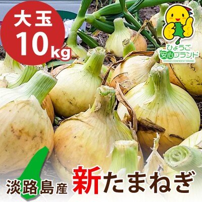【あさひサンファーム】【大玉10kg】兵庫県認証★特別栽培★淡路島新たまねぎ