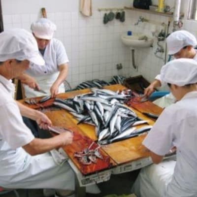 さんまみりん干し16枚　自家製の品!