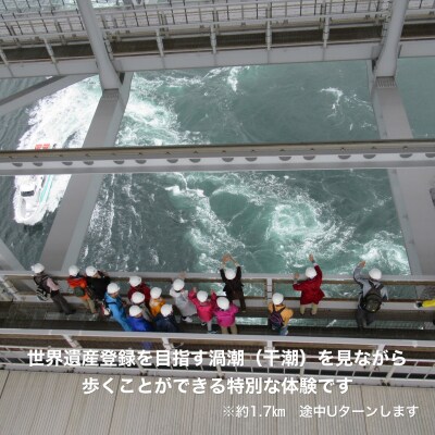 【本四高速】大鳴門橋うずしおウォーク(1名様分)【体験日:9月27日(水)10:00～】〒メール便