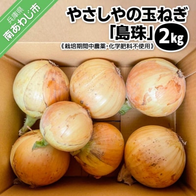 有機農法で栽培(栽培期間中農薬・化学肥料不使用)　やさしやの玉ねぎ「島珠」 2kg