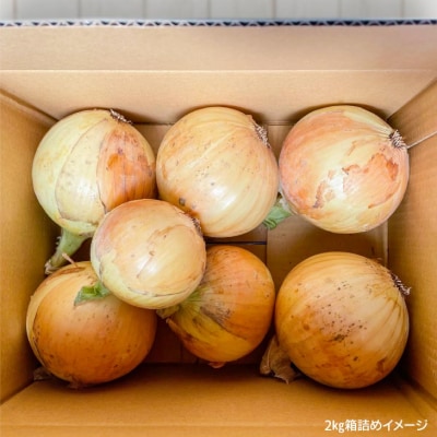 有機農法で栽培(栽培期間中農薬・化学肥料不使用)　やさしやの玉ねぎ「島珠」 2kg