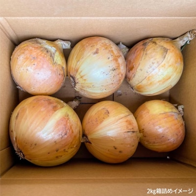 有機農法で栽培(栽培期間中農薬・化学肥料不使用)　やさしやの玉ねぎ「島珠」 2kg