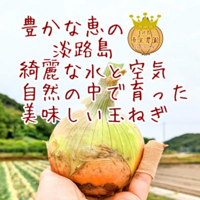 淡路島産玉ねぎ光玉 赤玉セット5キロ