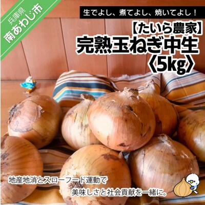 完熟玉ねぎ　中生5kg　◆配送6月上旬～