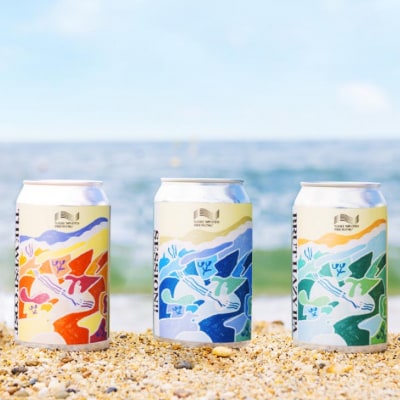 【淡路島のクラフトビール】ナミノオトブルーイング3種6本飲み比べセット