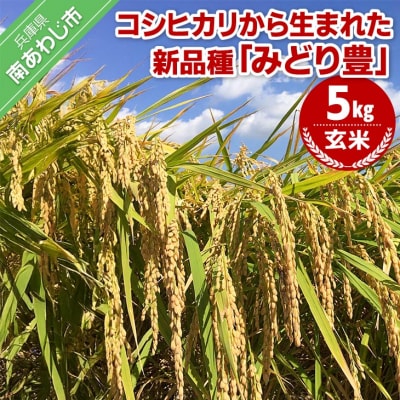 令和7年産・玄米『みどり豊』5kg　10月中旬頃から発送