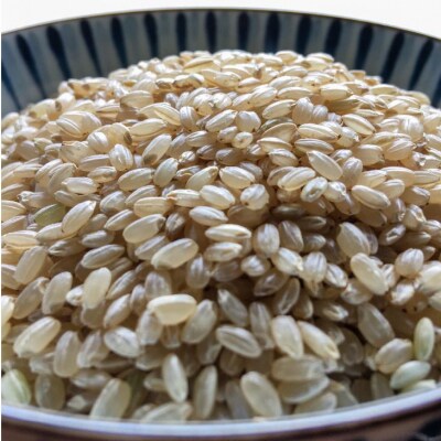 令和7年産・玄米『みどり豊』5kg　10月中旬頃から発送