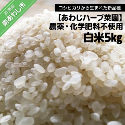 農薬・化学肥料不使用　白米