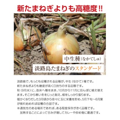 てっちゃんの淡路島たまねぎ3kg