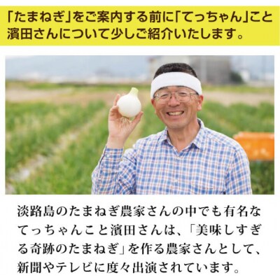てっちゃんの淡路島たまねぎ10kg
