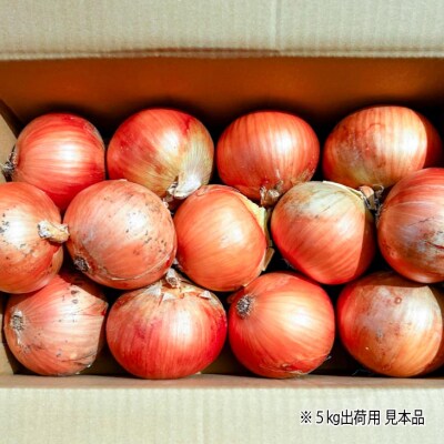 完熟乾燥玉ねぎ〈中生〉20kg◆配送6月上旬～