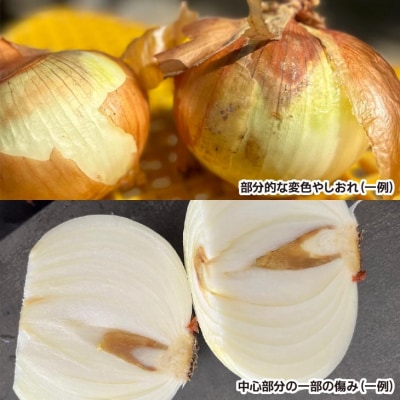 【広瀬青果】たまねぎ島のまかない玉葱【訳あり】10kg