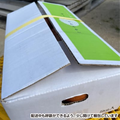 【広瀬青果】たまねぎ島のまかない玉葱【訳あり】10kg