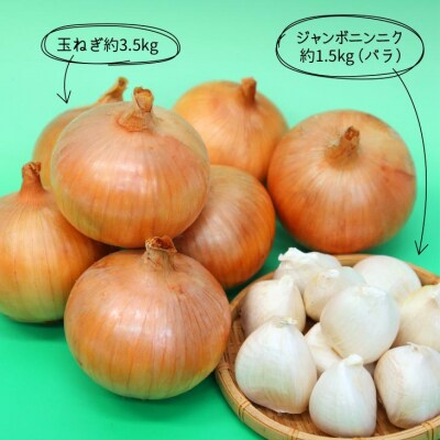【淡路夢ファーム】　ジャンボニンニク(バラ)・玉ねぎセット5kg