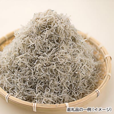 【定期便】【山田海産物】淡路島の海産物6回コース(1年間隔月お届け)