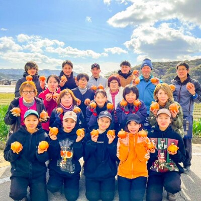 【東中青果】淡路島産玉葱　うずしお追熟甘玉ねぎ　10kg