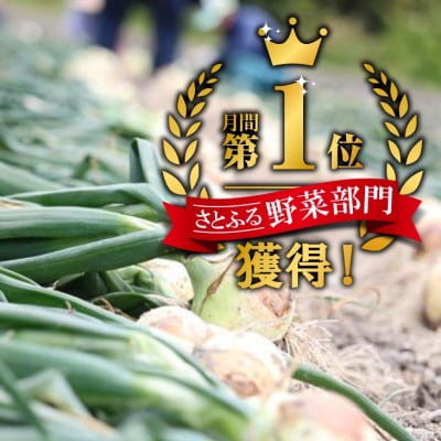 【東中青果】淡路島産玉葱　うずしお追熟甘玉ねぎ　3kg