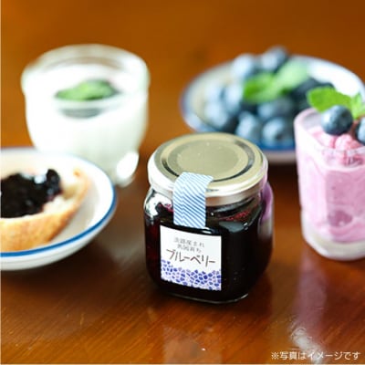 あわじジャム子のこだわりブルーベリージャム2個セット
