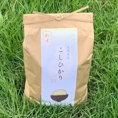 【わいわいベジタブル】令和7年度 淡路島産コシヒカリ 10kg(5kg×2)