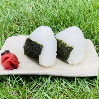 【わいわいベジタブル】令和7年度 淡路島産コシヒカリ 10kg(5kg×2)