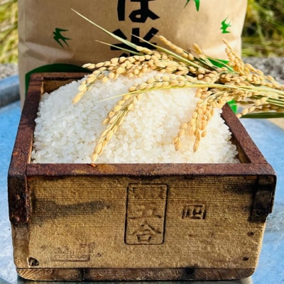 【島田青果】淡路島ゆずるは米 5kg～ひょうご安心ブランド認証取得～