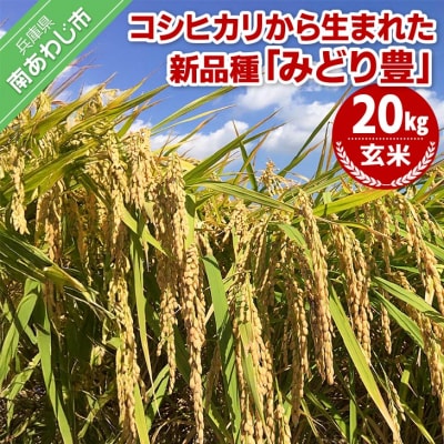 令和6年産・玄米『みどり豊』20kg　10月初旬頃から発送