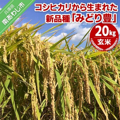 令和7年産・玄米『みどり豊』20kg　10月中旬頃から発送